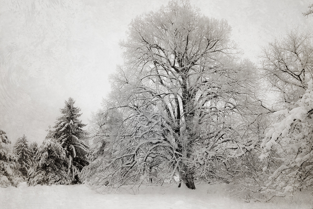 Frozen Nights Thomas Gauck Fotografie